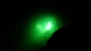 IMG-20160709-WA0001