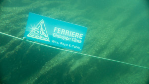 ferriere varenna 6