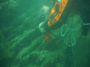 ferriere varenna 8