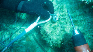 pomonte ferriere